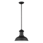 Fredricksburg Pendant