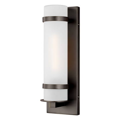 Renville 1-Light Small Wall Lantern