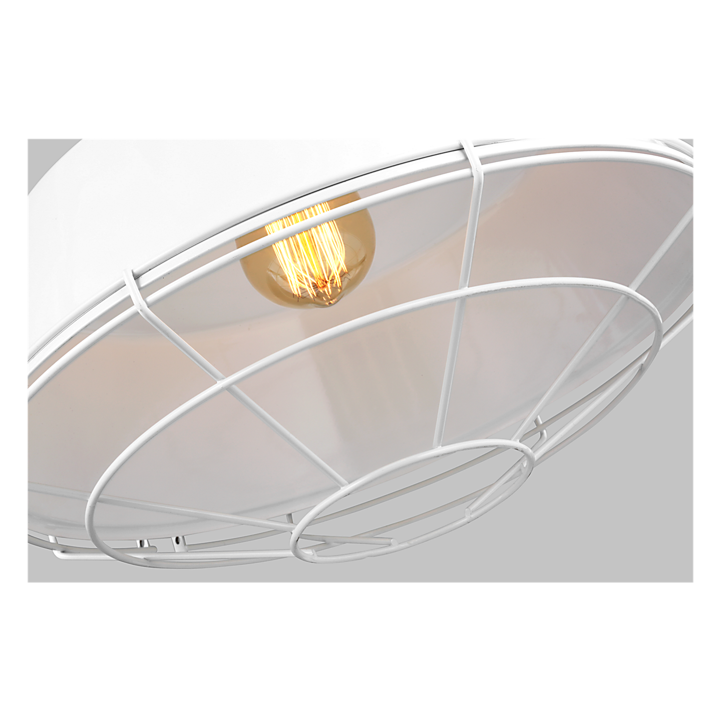 Cage for Large Barn Light