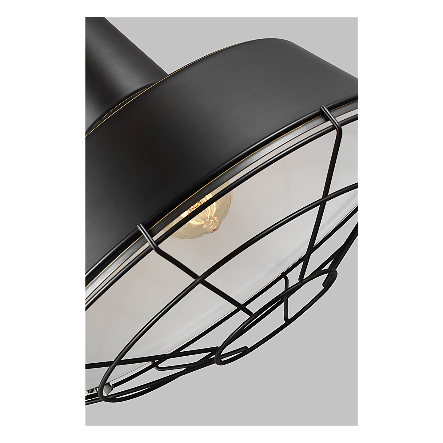 Cage for Large Barn Light