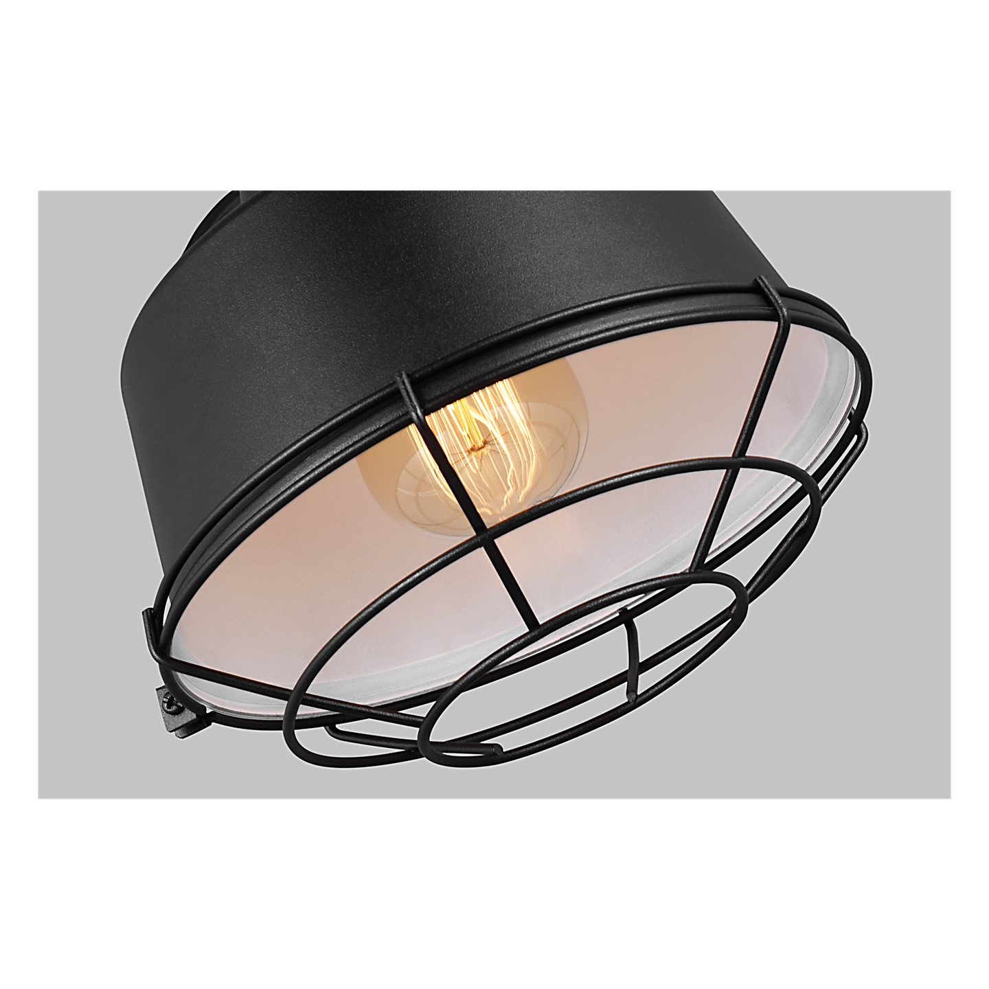 Cage for Small Barn Light