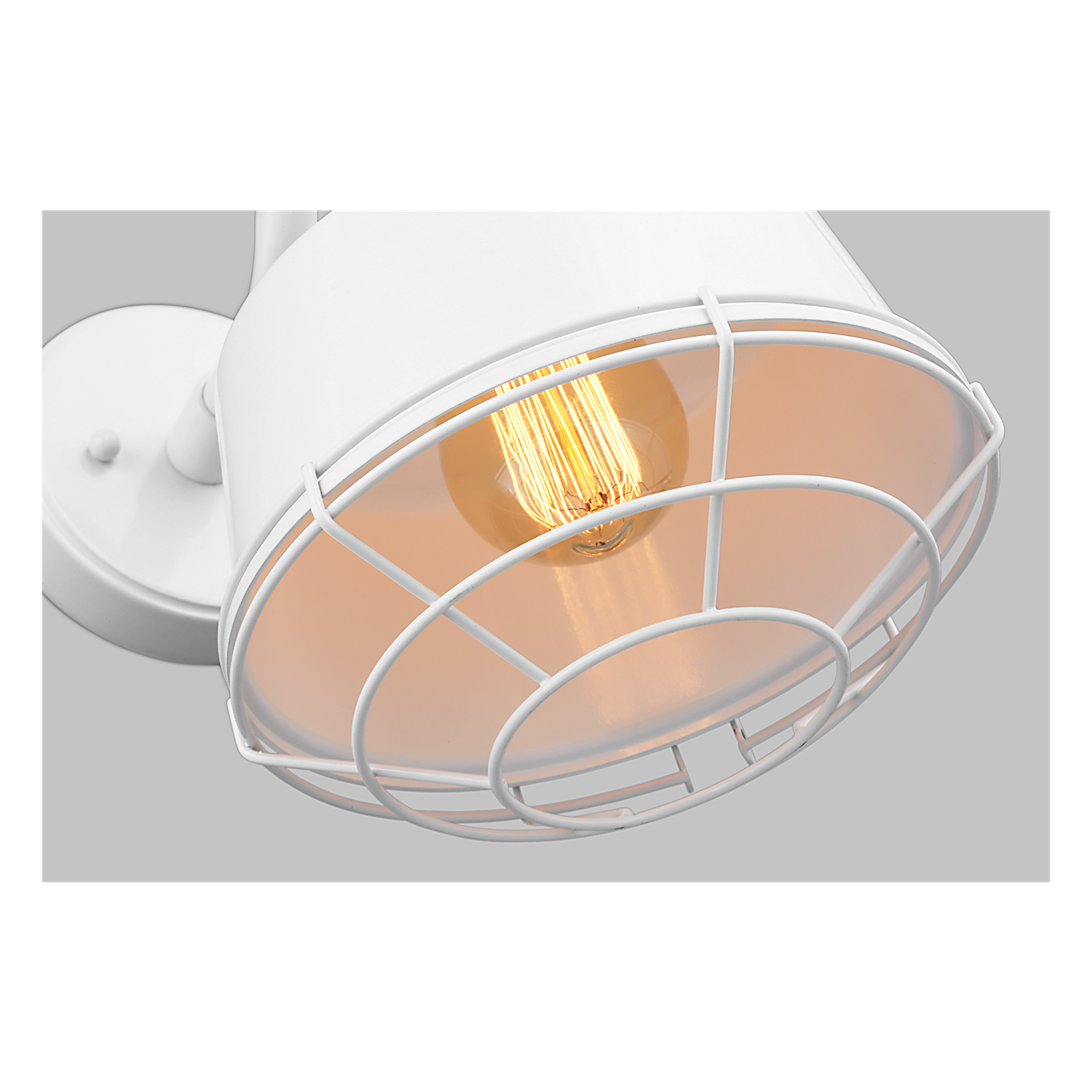 Cage for Small Barn Light