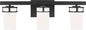 Robie 3-Light Bath Sconce