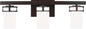 Robie 3-Light Bath Sconce