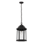 Sevier Pendant