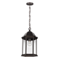 Sevier Pendant