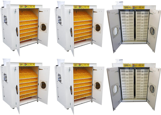 12000 Egg Hatchery - Produce 2880 chicks per week - SH12000 Chick Hatchery