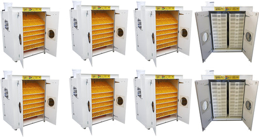 16000 Egg Hatchery - Produce 4320 chicks per week - SH16000 Chick Hatchery