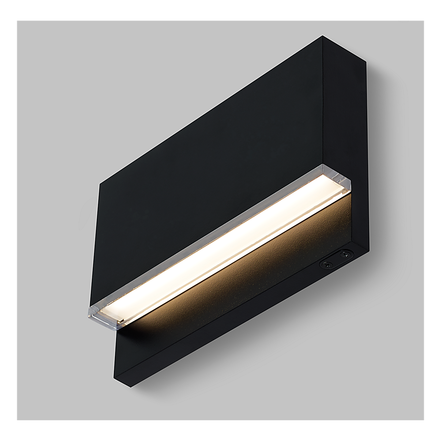 Wend Outdoor Wall/Step Light