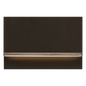 Wend Outdoor Wall/Step Light