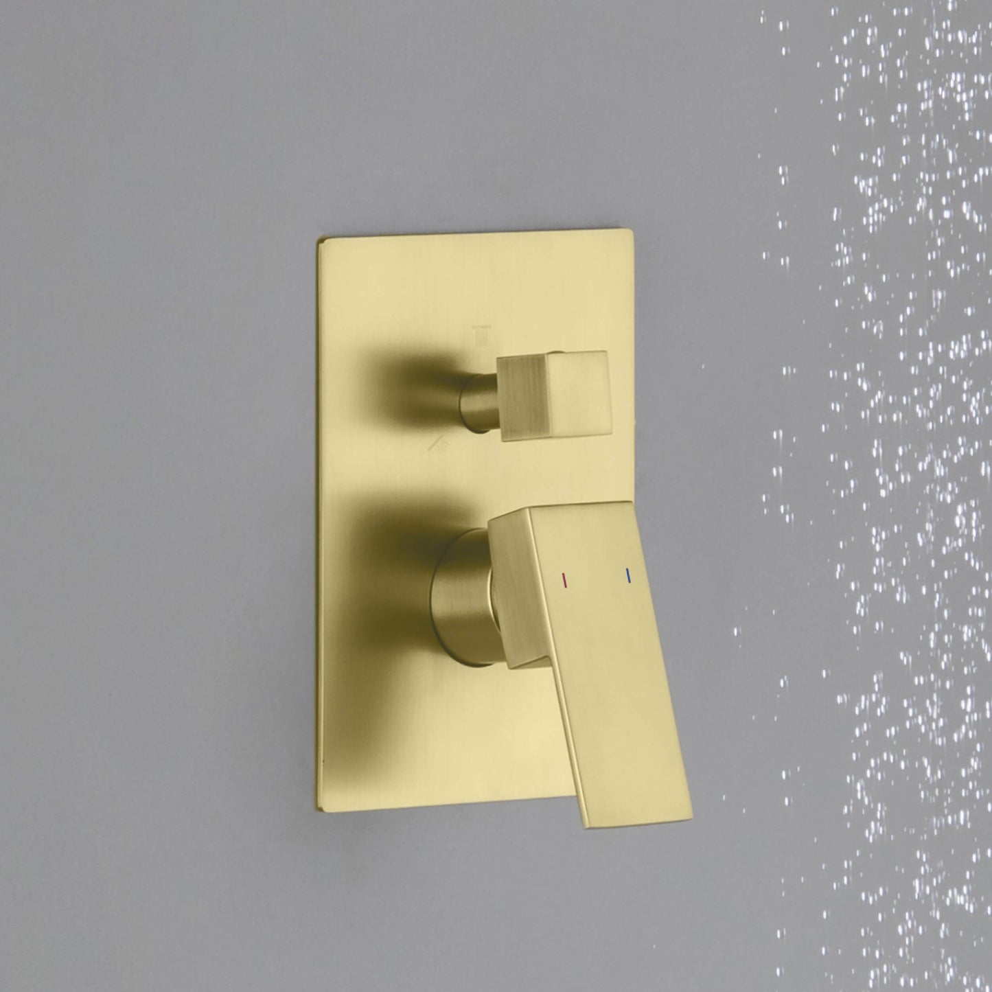 Quadro 2 Function Rough-in Valve Trim Plate