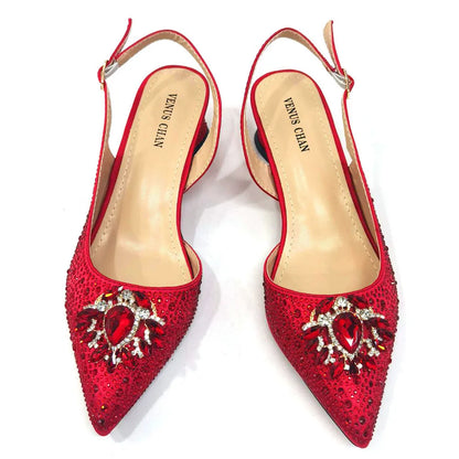 Design Pointed Toe Thin Heels Ladies Shoes Matching Bag Set
