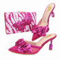 Lastest Shoes And Bag Matching Set HTG1-10