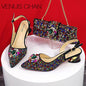 Design Pointed Toe Thin Heels Ladies Shoes Matching Bag Set