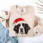 Saint Bernard, Santa, Dog, Christmas, Dog Lover, Pet Sweatshirt