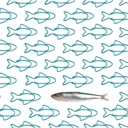 Sardine Paper Clips | Play | Kitchen + Metal