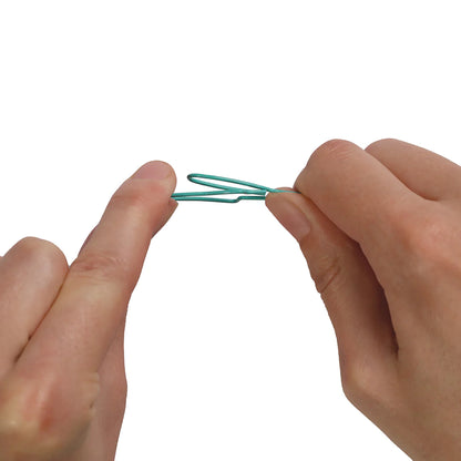 Sardine Paper Clips | Play | Kitchen + Metal