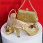 New Fashionable Ladies Shoes Matching Bag Set