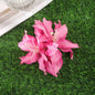 Gladiolus Flowers Small Hair Clip accessory