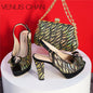 New Fashionable Ladies Shoes Matching Bag Set