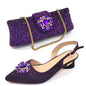 Elegant And Sexy Champagne Shoes And Bag set