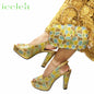 New Arrival Peep Toe Women's Shoes & Bag Set