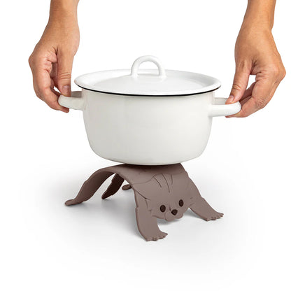 Scaredy Cat | Play | Kitchen + Metal