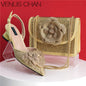 Elegant Lady Shoes And Bag Set with Rhinestone Embellished