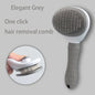 Pet Hair Brush