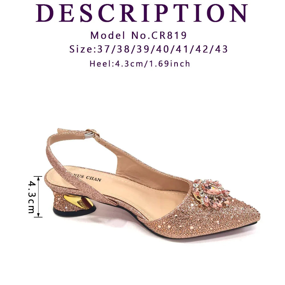 Elegant And Sexy Champagne Shoes And Bag set