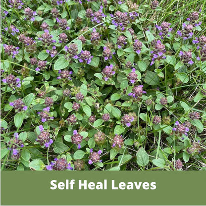 Self-Heal Seed Pouch