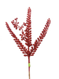 LAUREL FERN PICK RED