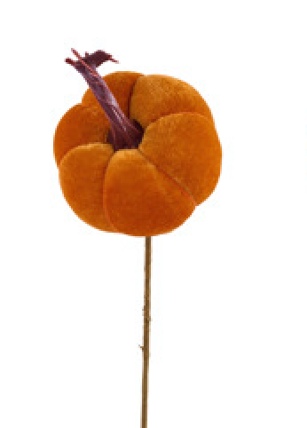 14"L, 4"DIA X 2.5"H PUMPKIN PICK , PICK ONE