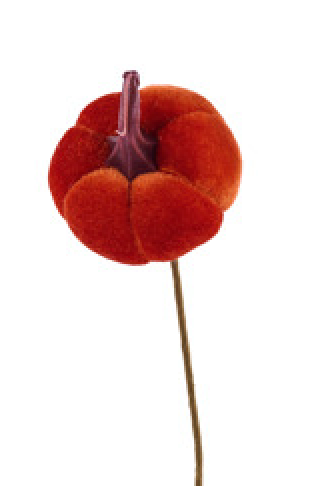 14"L, 4"DIA X 2.5"H PUMPKIN PICK , PICK ONE