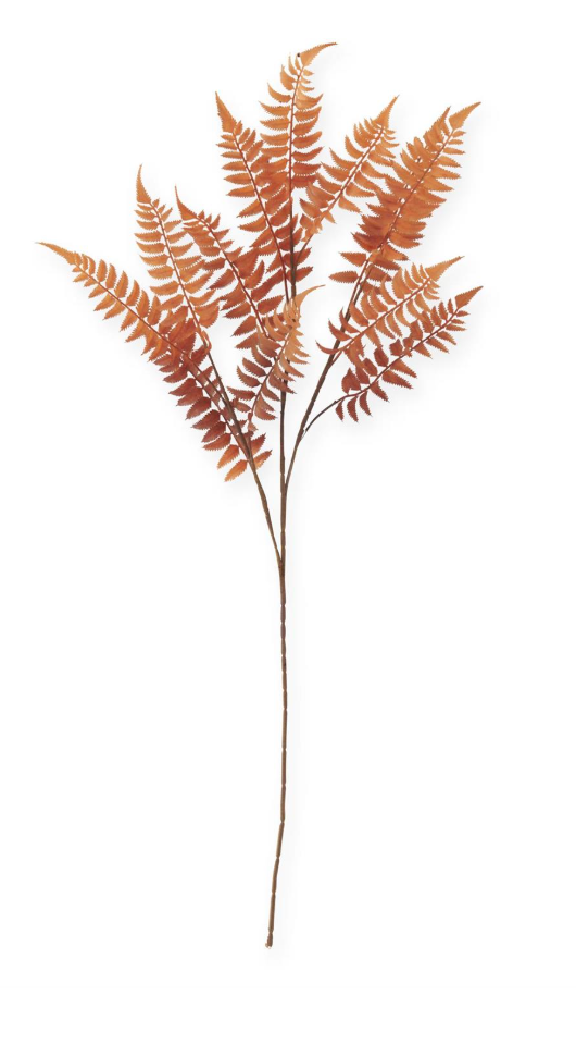 39 Inch Orange w/Brown Speckles Lady Fern Spray