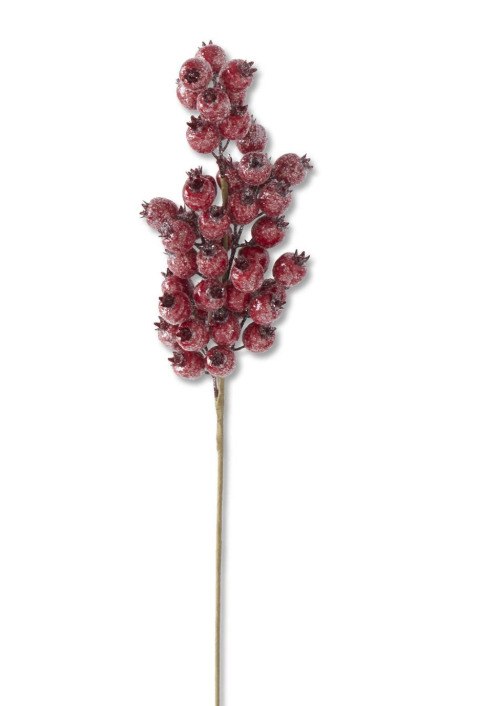 24 Inch Glittered Red Rosehip Stem