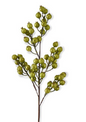 27 Inch Green Crackle Glitter Rosehip Stem
