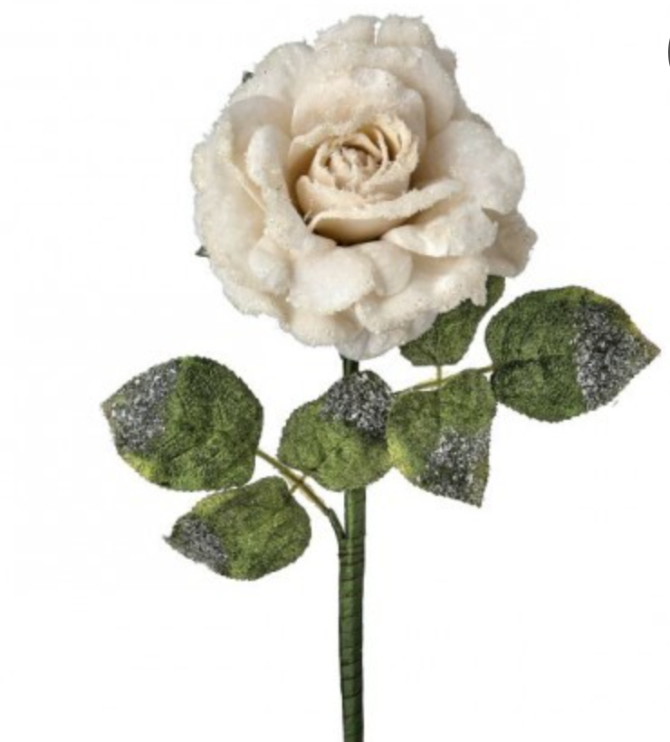 25"SNOW EDGED VELVET ROSE STEM IVORY