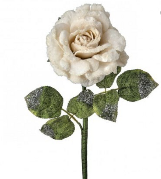 25"SNOW EDGED VELVET ROSE STEM IVORY