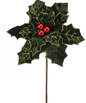 22" ROYALTY POINSETTIA STEM GREEN RED