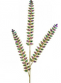 34" JEWELED LONG LEAF SPRAY