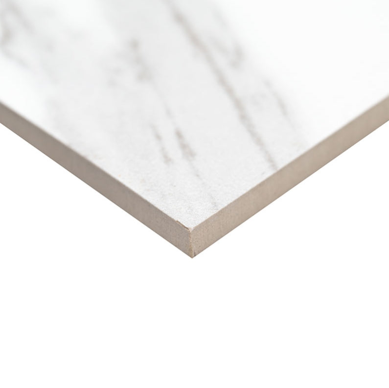 Eden Statuary Porcelain Tile
