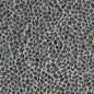 Noir Ash Mini Pebble Tile