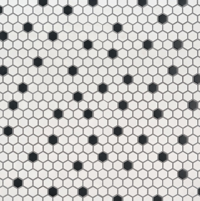 Black And White 1” Hexagon Mosaic Tile