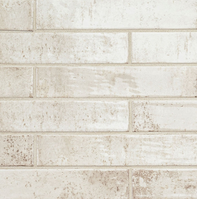 Stella Biscotti 2X10 Glossy