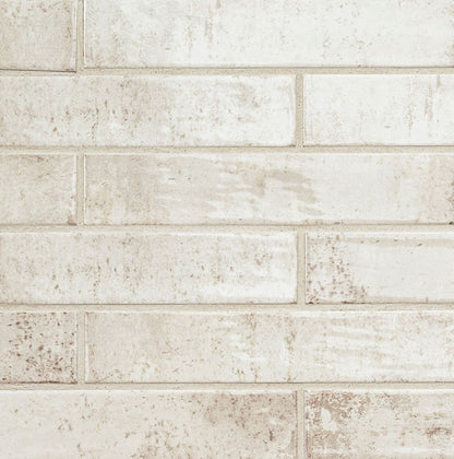 Stella Biscotti 2X10 Glossy