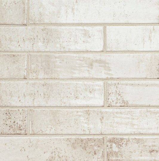 Stella Biscotti 2X10 Glossy