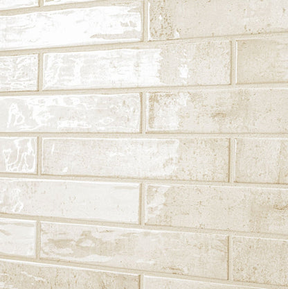 Stella Biscotti 2X10 Glossy