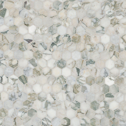 Coronado 2" Hexagon Honed Tile