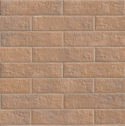 Mattonella Cotto 2.5X10